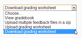../_images/downloadgradingworksheet.png